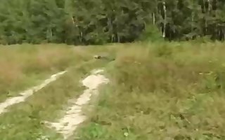 Russian girl is regularly having mischievous fuckfest in the nature, in the middle of the day
